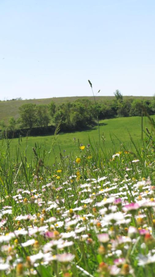 Nature'S Pace Holidays Montmaur  Exterior foto