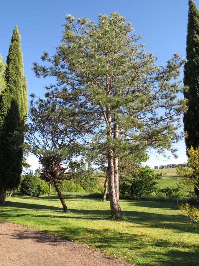 Nature'S Pace Holidays Montmaur  Exterior foto
