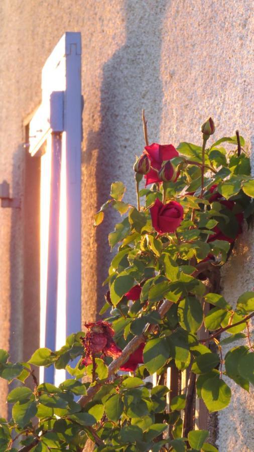 Nature'S Pace Holidays Montmaur  Exterior foto