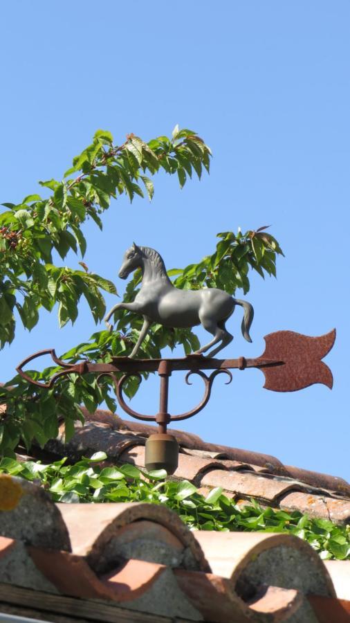 Nature'S Pace Holidays Montmaur  Exterior foto