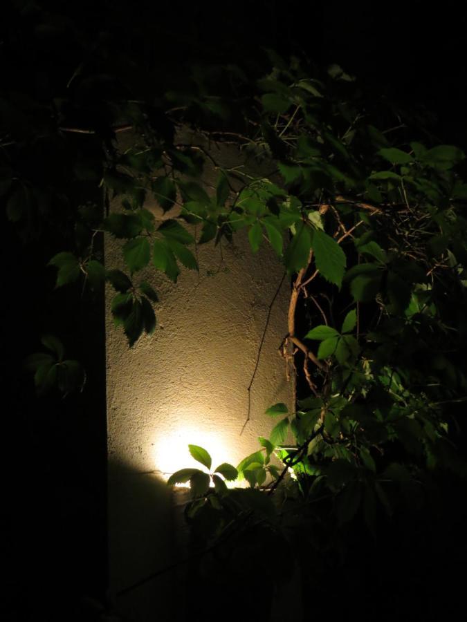 Nature'S Pace Holidays Montmaur  Exterior foto